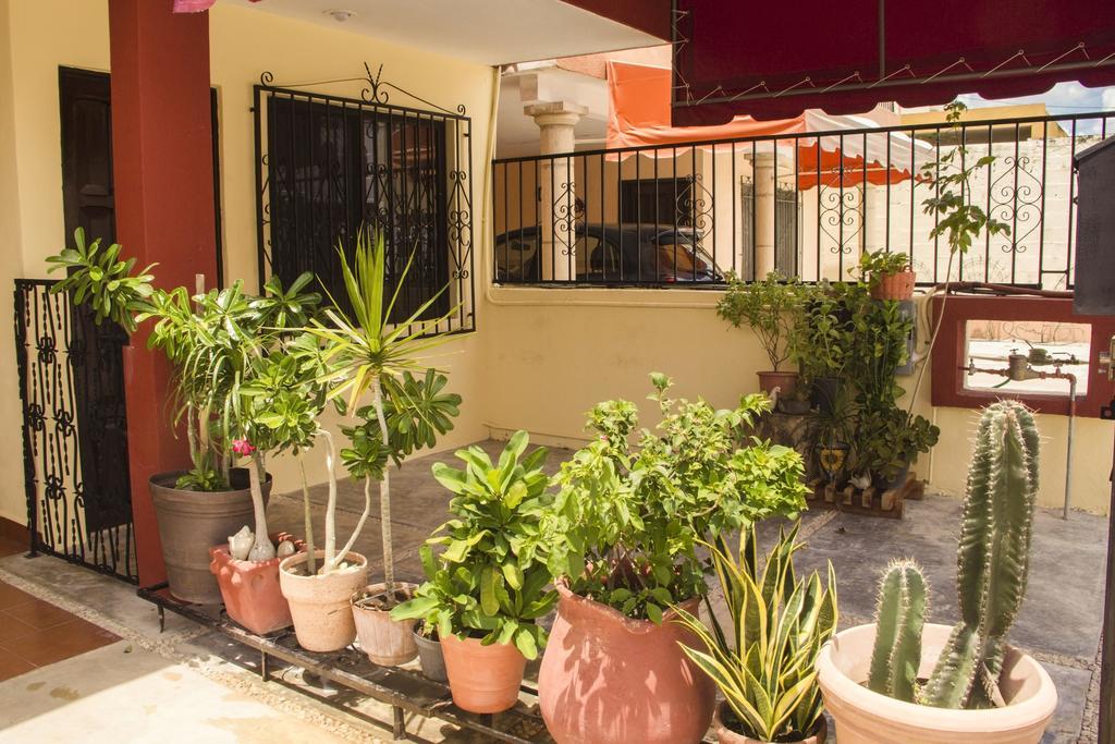 La Casa Del Chac Villa Mérida Dış mekan fotoğraf